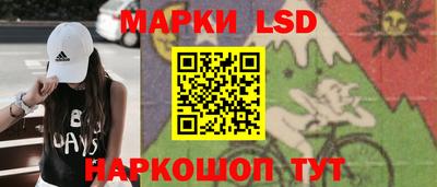 тгк Новодвинск