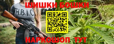 тгк Новодвинск