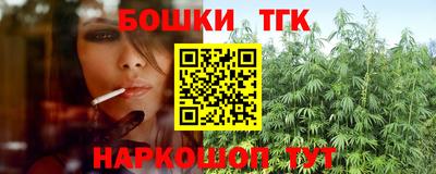 тгк Новодвинск