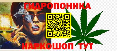 тгк Новодвинск